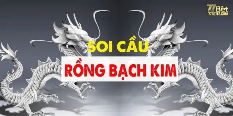 Soi cầu rồng bạch kim dễ áp dụng và dễ thắng lớn